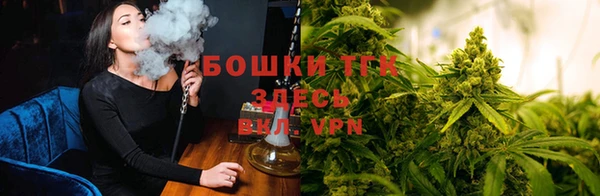 шишки Бородино