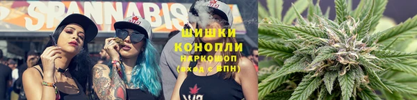 шишки Бородино