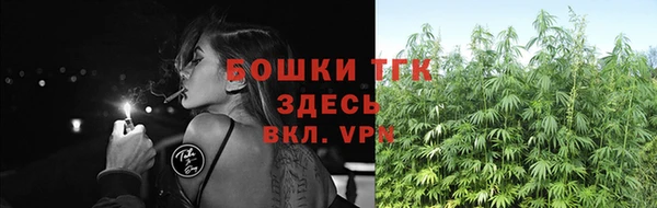 spice Магадан