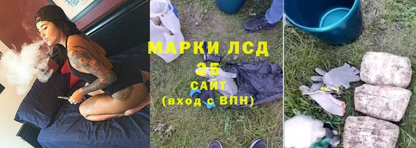 стаф Ельня
