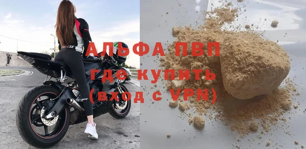 шишки Бородино