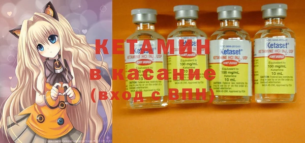 шишки Бородино