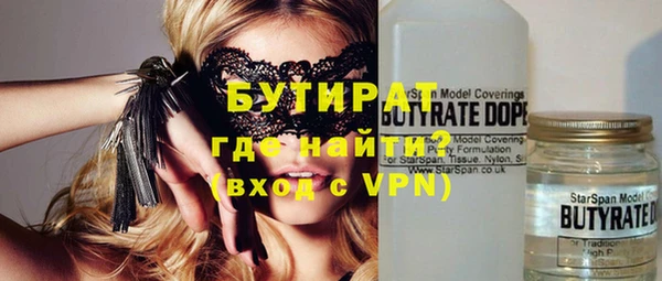 шишки Бородино