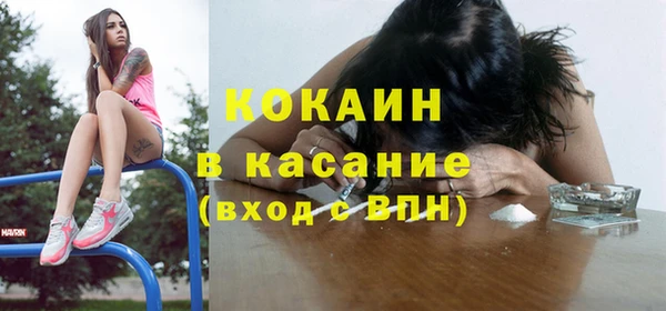шишки Бородино