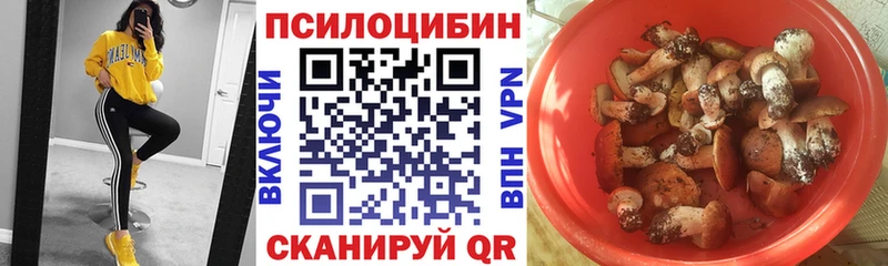 Псилоцибиновые грибы Cubensis  Верхоянск 